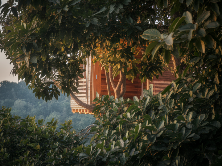 Hébergements insolites : dormir autrement pour des souvenirs inoubliables