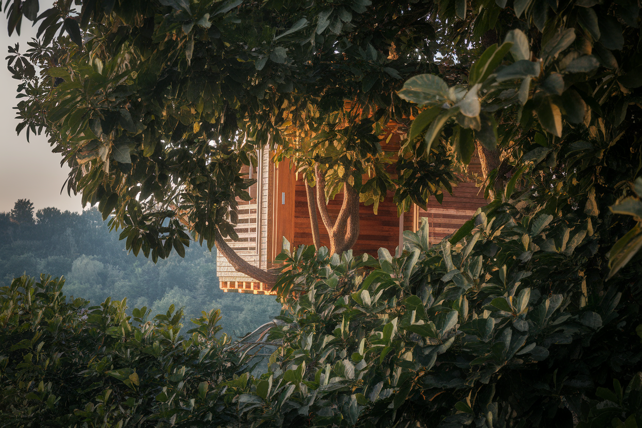 Hébergements insolites : dormir autrement pour des souvenirs inoubliables